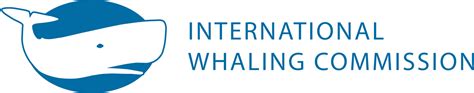 iwc whaling resolutions|Report from the International Whaling Commission on .